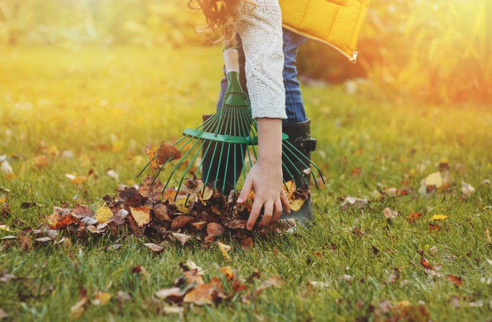 Jesienne prace w ogrodzie